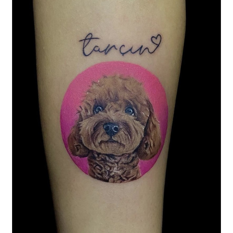 Renkli Köpek Portre Dövmesi